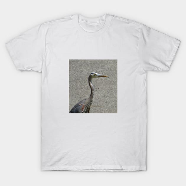 Driveway heron T-Shirt by AmyKalish